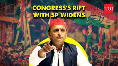 'No alliance with congress...': Upset Akhilesh Yadav on no seat sharing with Congress in Madhya Pradesh elections