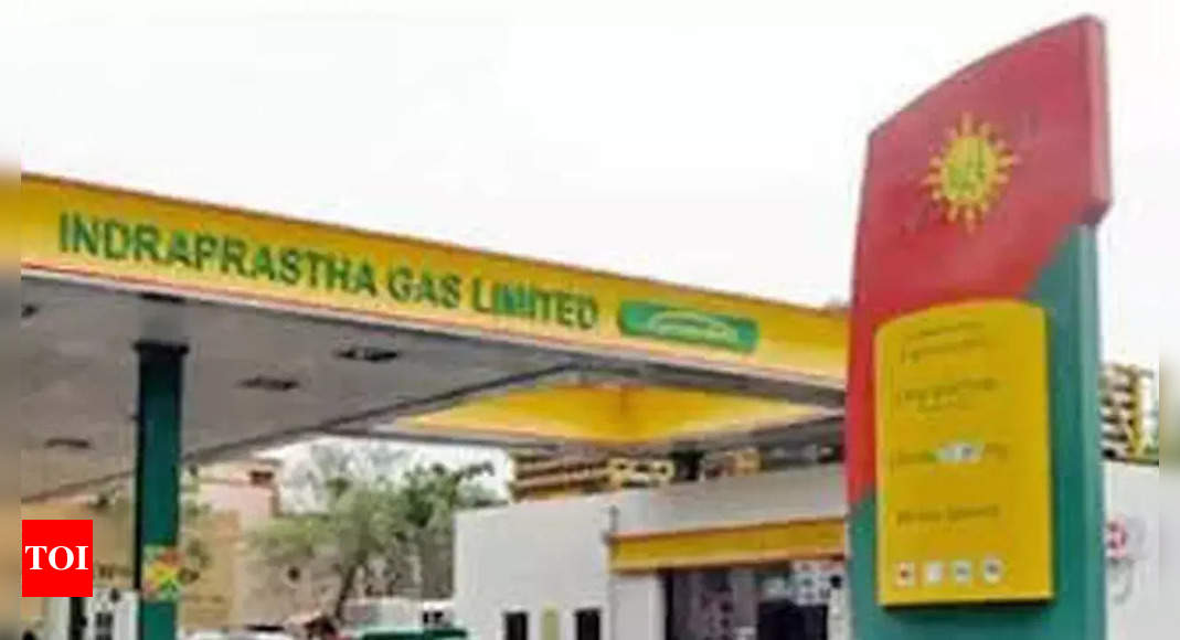 Indraprastha Gas Ltd stock nosedives on New EV policy – Times of India