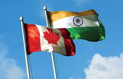 Visa processing for Indians bound for Canada will slow-down; in-person  operations suspended in several cities - Times of India