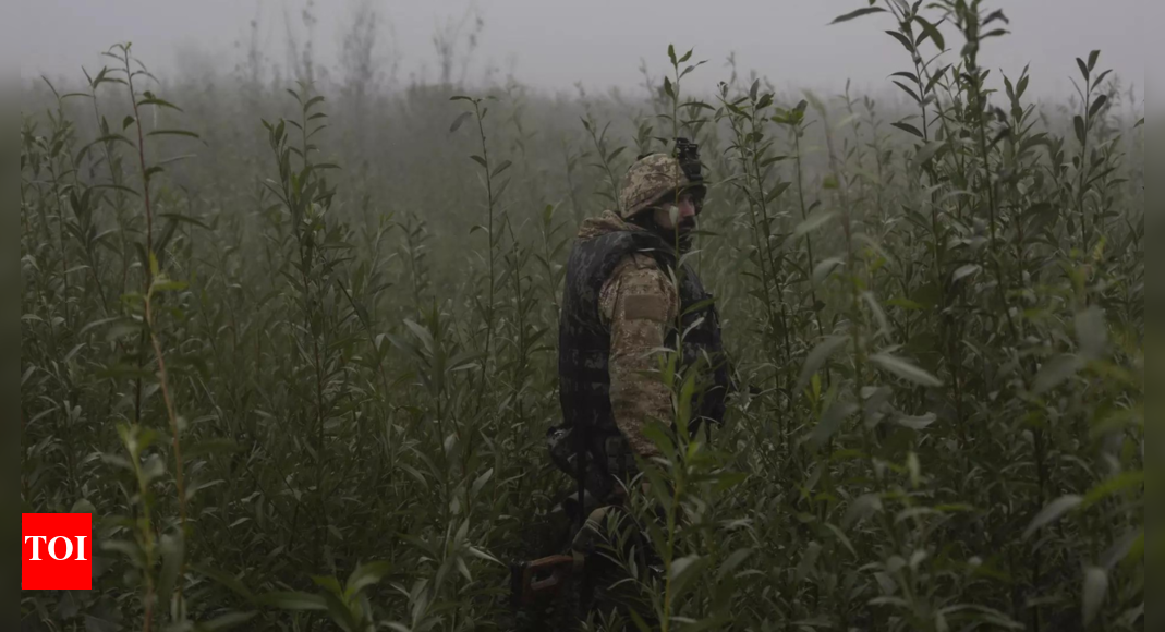 Leaders of Ukraine and Russia assess their resources as their war heads into winter