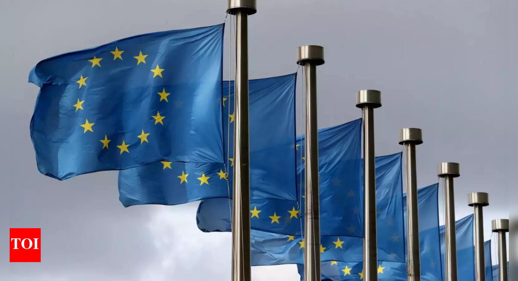 EU president says Egypt needs support to handle fleeing Gazans