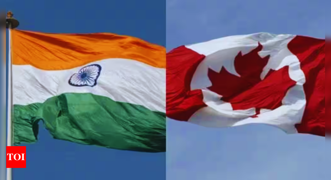 Canada Visa Services: India Stresses On ‘parity In Mutual Diplomatic ...