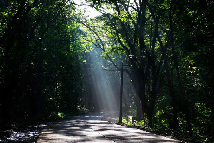 Gadchiroli, Maharashtra