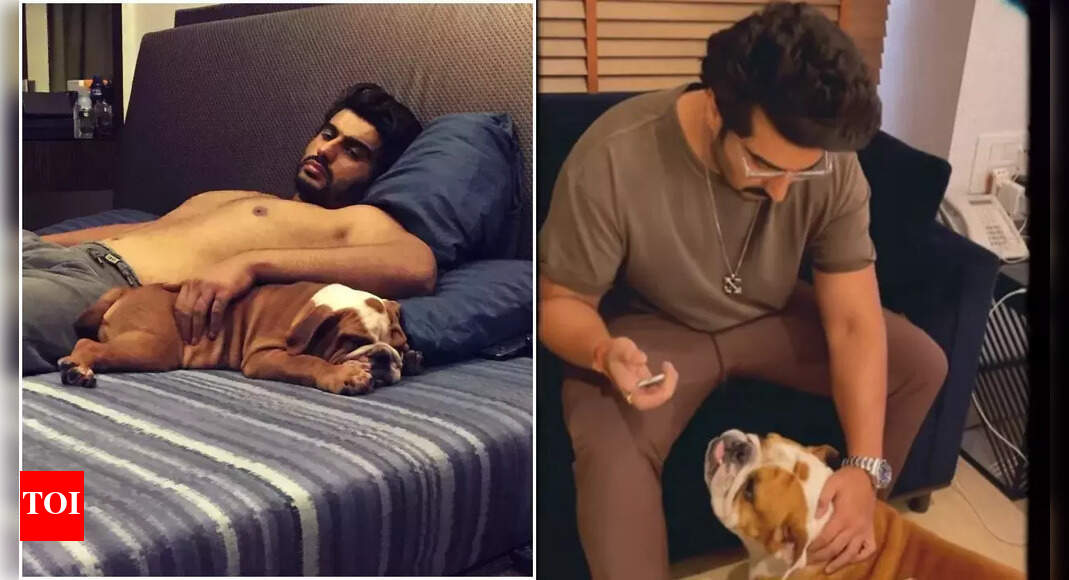 Arjun remembers his pet dog Maximus: Video