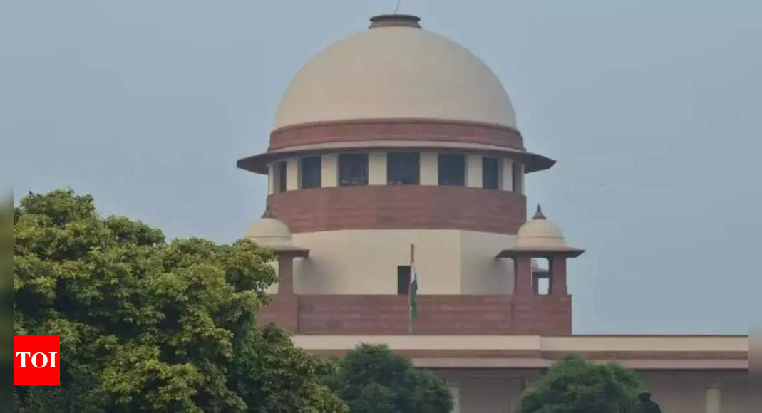 Forest Act tweak comes under Supreme court scanner – Times of India