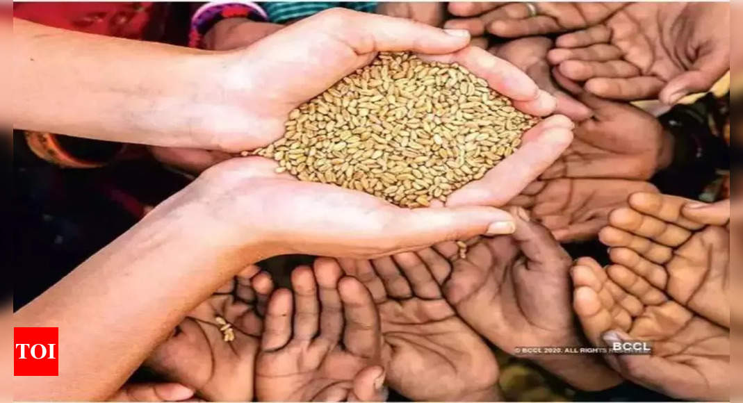 Wheat: India says procurement helped in food security