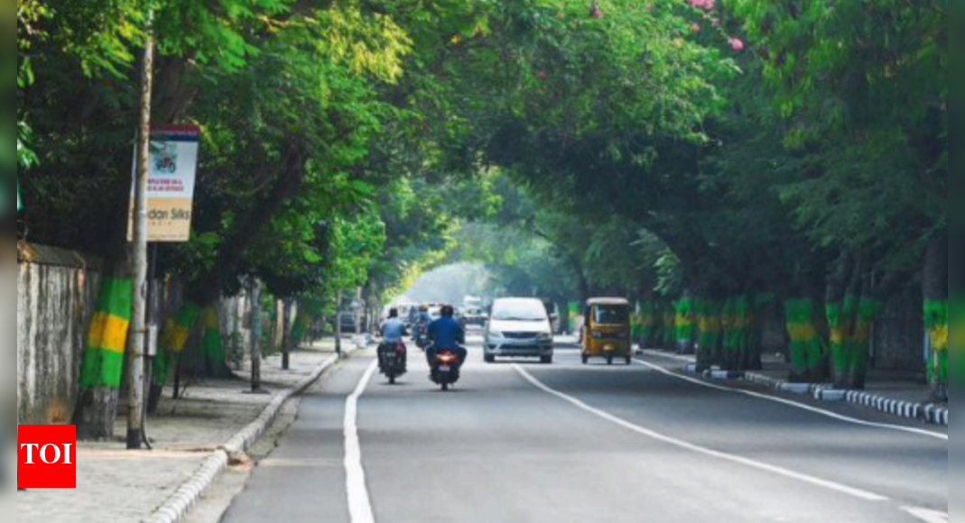 Adyar-Bessy stretch to get walkway Adyar-Bessy stretch to get walkway