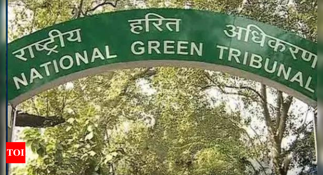 Air Quality: National Green Tribunal takes suo motu cognisance of media reports highlighting deteriorating air quality in Delhi | India News