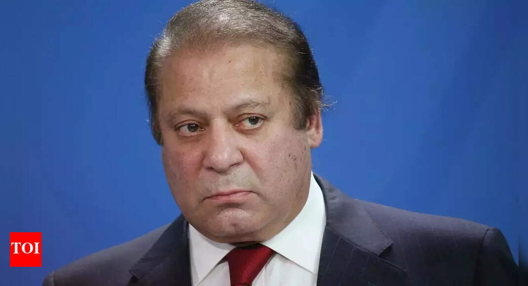 Lost mother & wife to politics: Nawaz Sharif says at his first rally on return