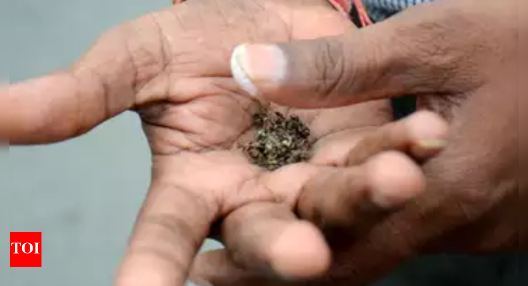 Why smokeless tobacco a major risk to school kids Delhi News Times