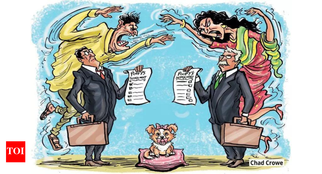 Who gets Henry? When exes get into a catfight over the dog | India News