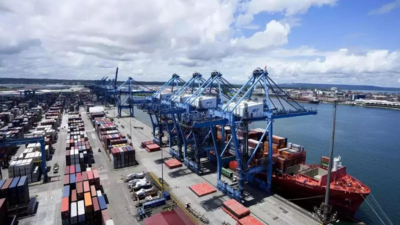 Dp World: Tanzania signs port contracts with UAE's DP World - Times of ...