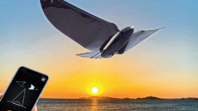 NFSU's 'ro-birds' to clip wings of rogue drones