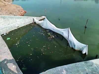 Quality Of Life: ‘sewage Entering Lake, Killing Fish’ | Bengaluru News ...