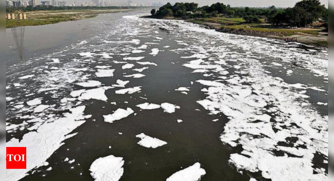 Yamuna river clearance