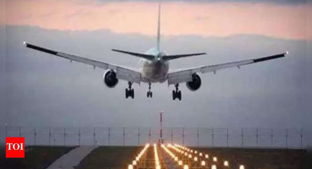 Thanks to IndiGo & AI, this winter may see more domestic flights despite Go collapse & shrinking SpiceJet – Times of India