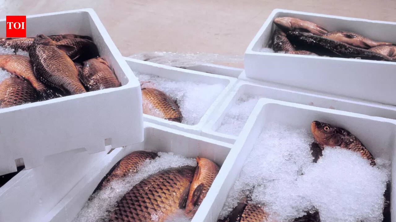 6 smart ways to preserve the freshness of frozen seafood