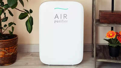 Air Purifier Price: Best Picks In Every Budget So You Breathe Cleaner Air In Your Home (May, 2024)