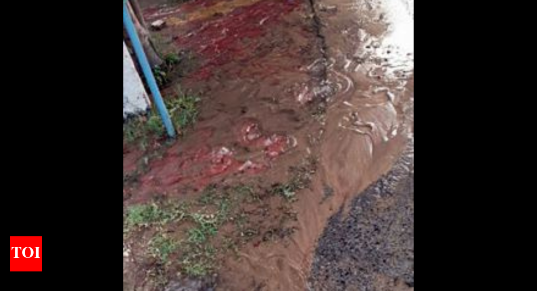 Water Crisis Amid Niggling Water Problems, Ganga Water Supply To Stop