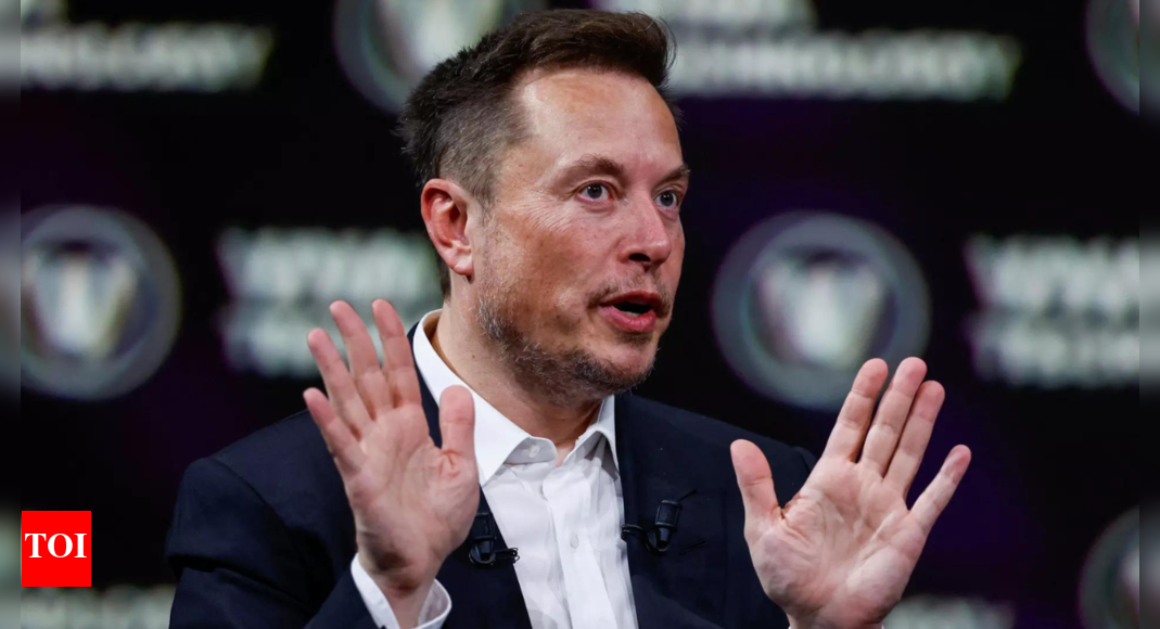 ‘Little baby’ Elon Musk had meltdown on Tesla earnings call: Report – Times of India