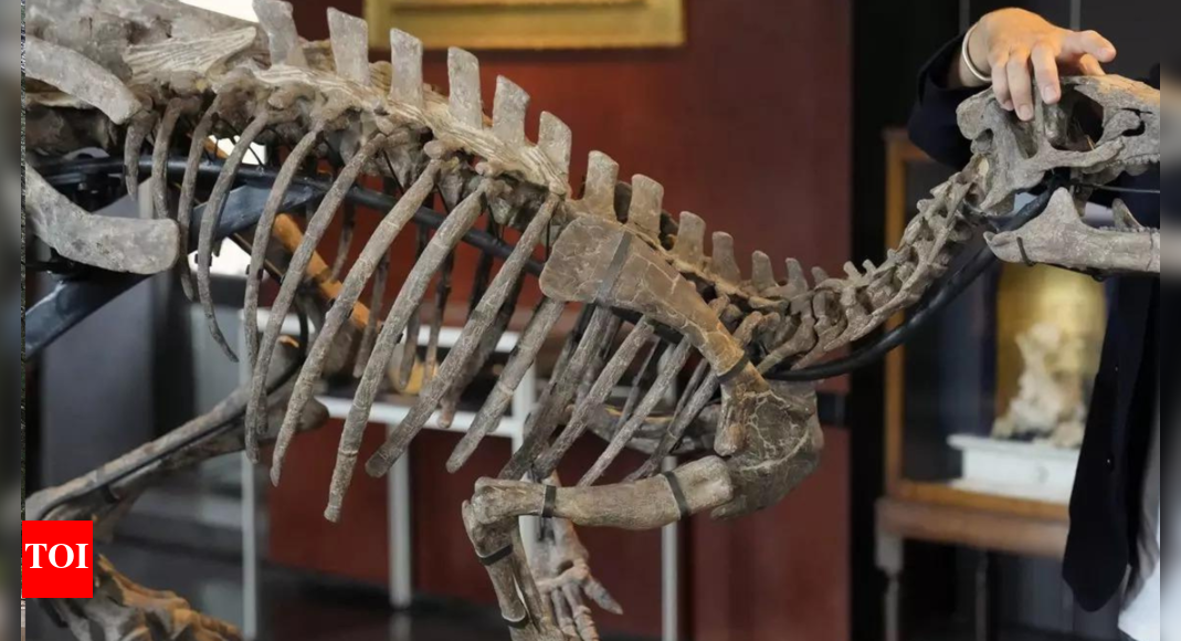 4 accused of illegally selling 1 million worth of dinosaur bones to(02)