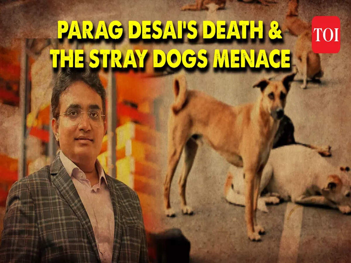Wagh Bakri owner’s death: Parag Desai’s unfortunate demise puts focus on  India’s growing stray dogs problem