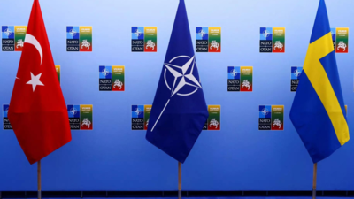 Turkish parliament commission set to study Swedish Nato bid