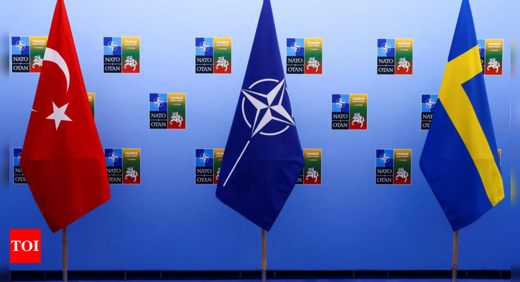 Parlement : une commission parlementaire turque va étudier la candidature suédoise à l’OTAN