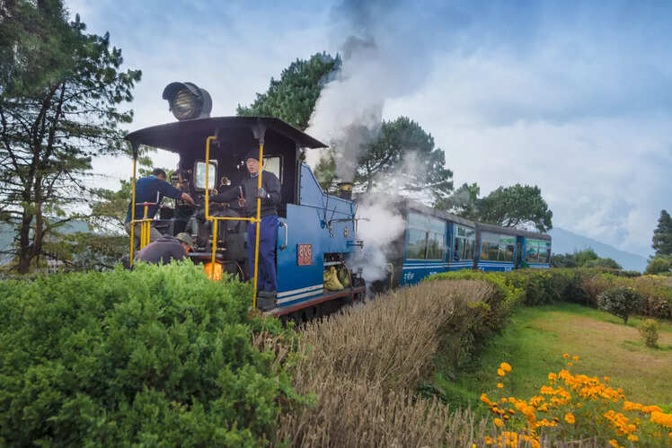 Scenic Toy Train ride