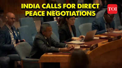 Deeply concerned about large-scale loss of civilian lives in Israel-Hamas war: India at UN