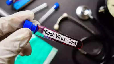 Kerala plans to develop antibodies for Nipah
