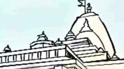 Drill at temples: RSS terms circular 'ritual'