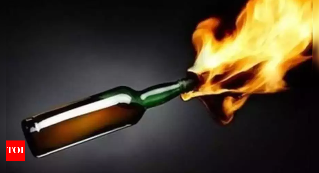 Anti NEET Bill in Tamil Nadu: Man throws crude bomb at Raj Bhavan main ...