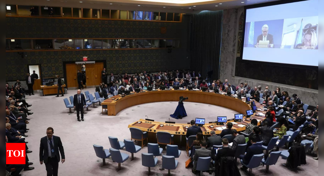 UN Security Council To Vote On Rival US, Russian Plans For Israel, Gaza ...