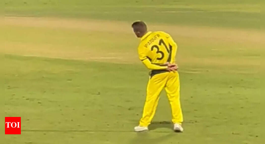 Watch: Entertainer David Warner delights Delhi fans 'Pushpa' style