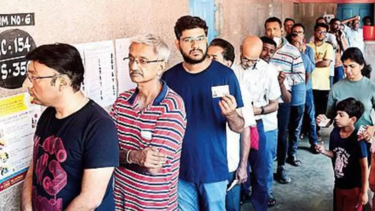 Electoral Rolls: Two million duplicate entries deleted from