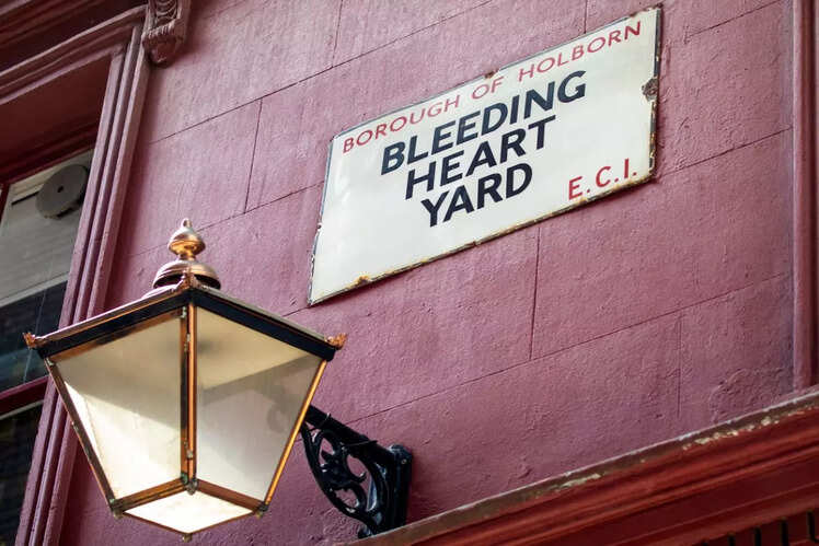 Bleeding Heart Yard