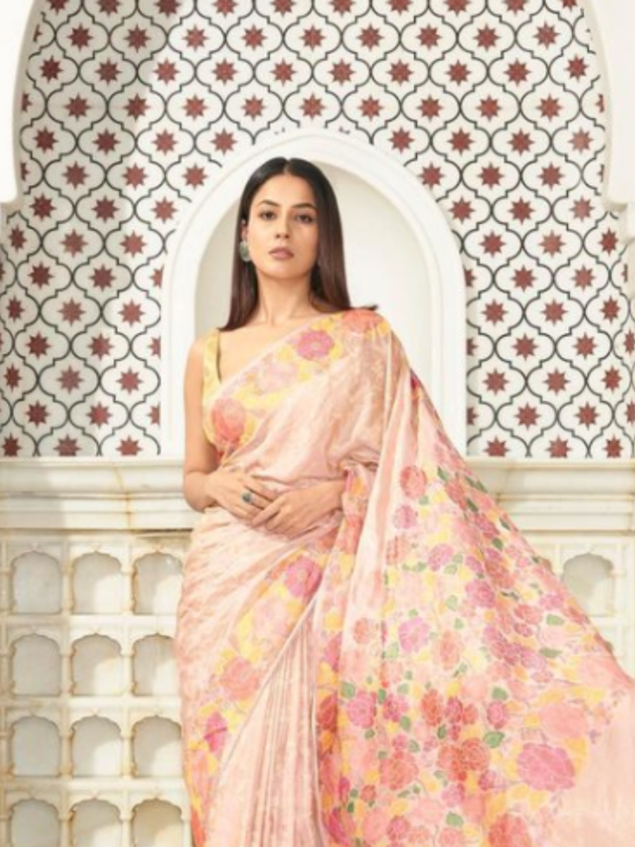 Shehnaaz Gill's 15 ethnic outfits for the Queen vibes | Times of India