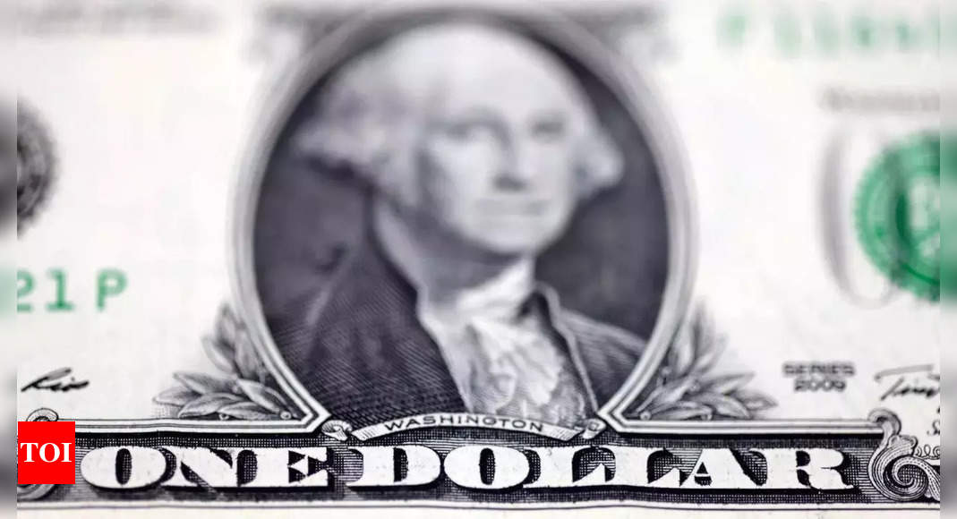 Dollar rises after blockbuster US data lures in bulls – Times of India