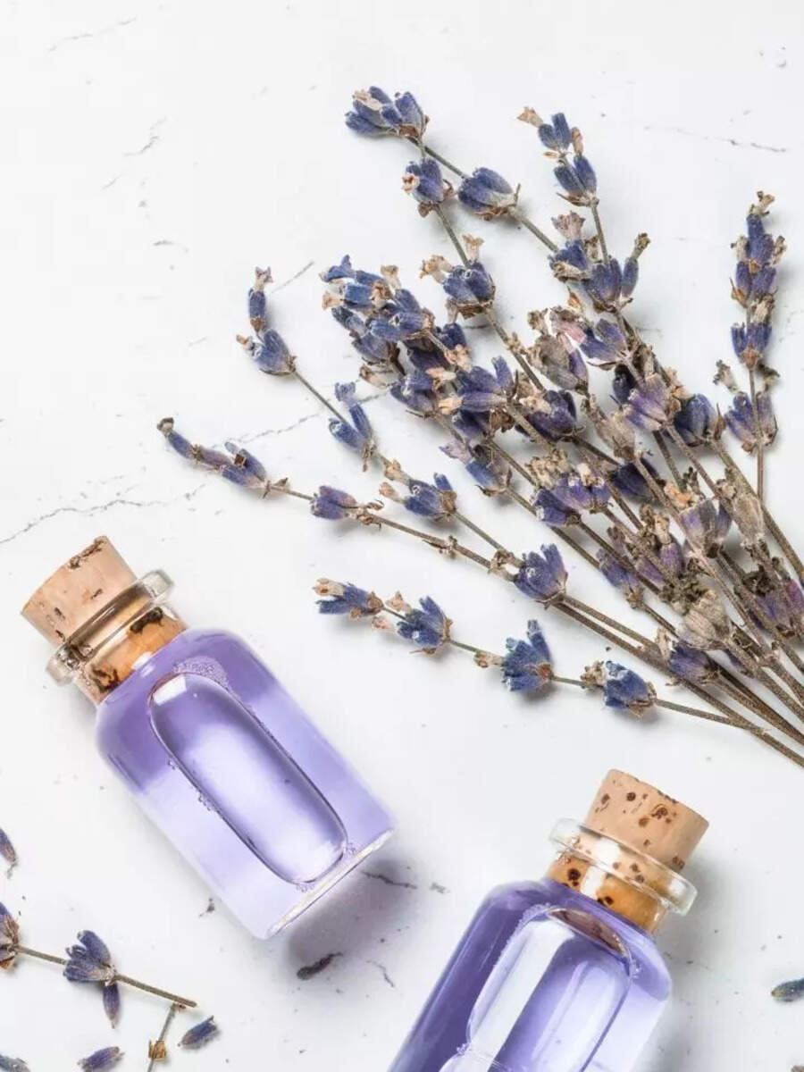 8 Natural Mosquito Repellents To Prevent Dengue Times Now