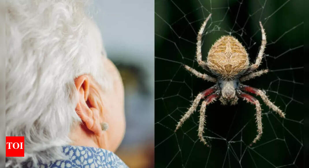 Spider in woman's ears: Unusual case for leaves doctors astonished