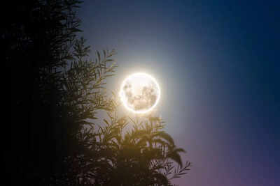 How does Lunar Eclipse 2023 affect religious activities? Ram Temple Chief Priest explains