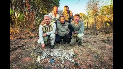 Gandhisagar Sanctuary to be home of next batch of S African cheetahs