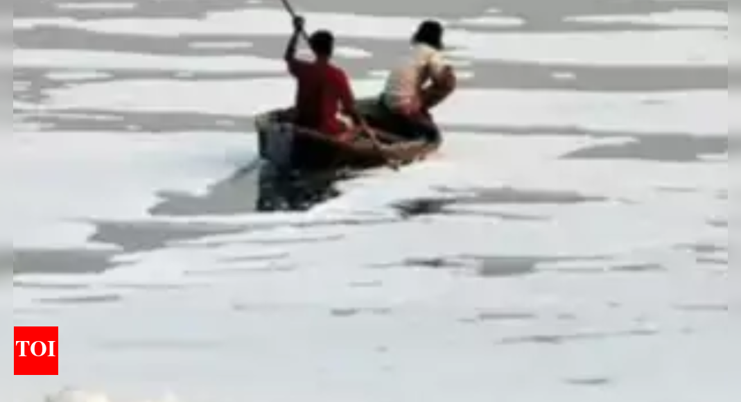 threat-from-sewage-included-in-yamuna-cleanup-action-plan-delhi-news