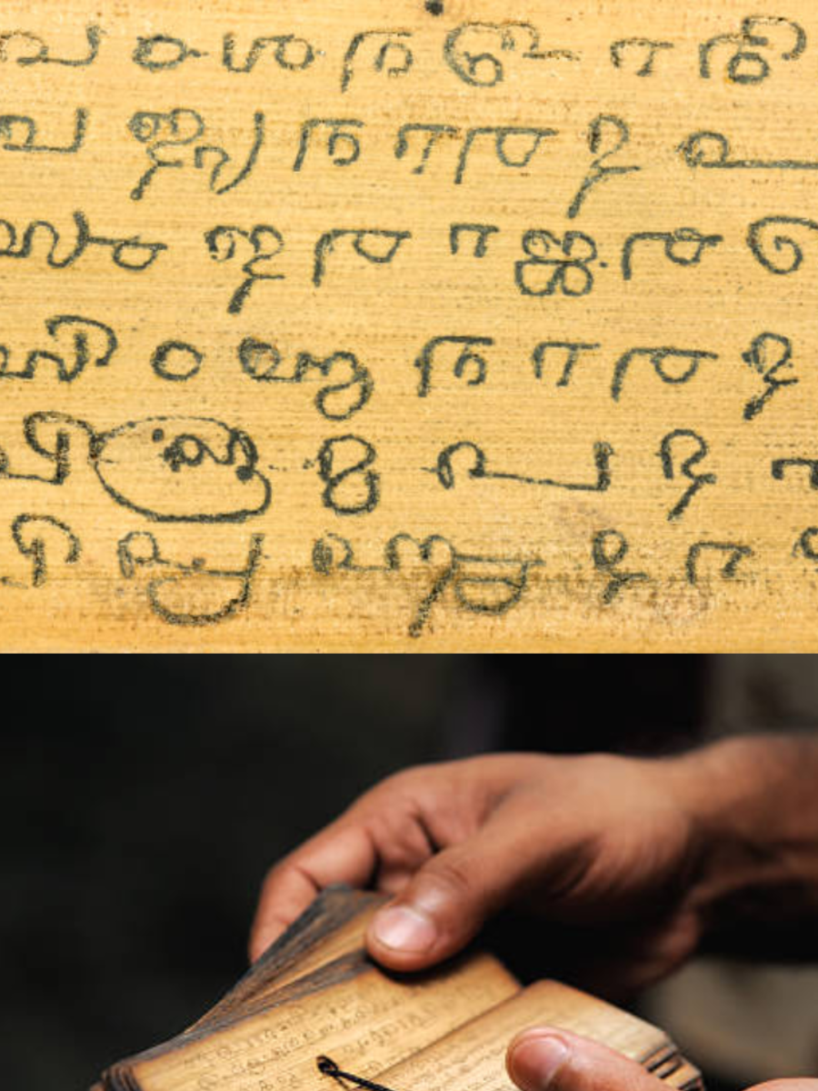 is sanskrit the oldest language in the world or tamil