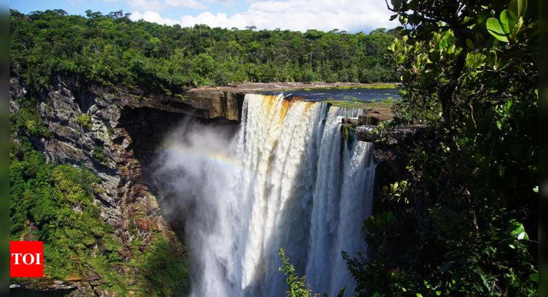 Rainforests: Home countries of major rainforests agree to work together to save them