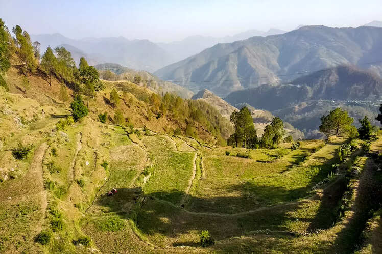 Ranikhet, Uttarakhand