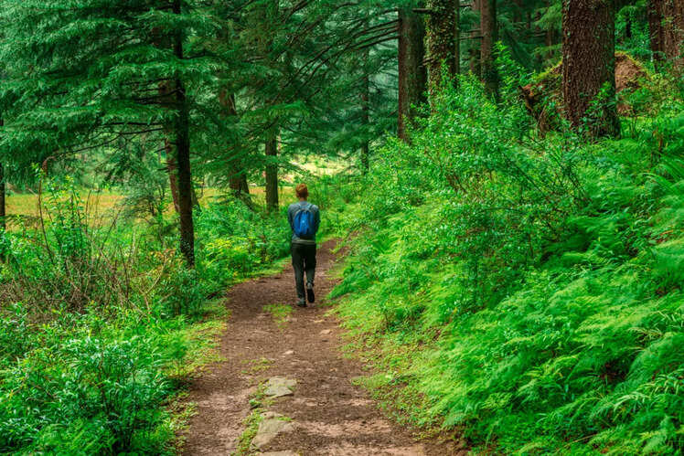 Kasauli, Himachal Pradesh