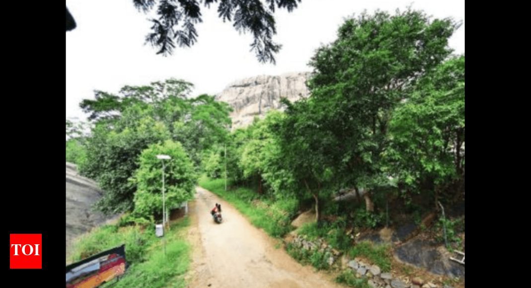 Land Prices in Bangalore Land prices rise on the back of Bengaluru