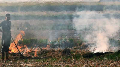 Farmers using new tech? Farm fire count in Haryana lowest in 3 years